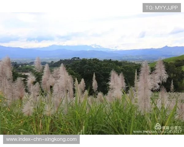 哥斯达黎加俱乐部积极拓展国际热身赛迈向更高竞技峰峰 哥斯达黎加俱乐部积极拓展国际热身赛迈向更高竞技峰峰